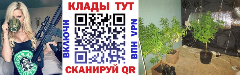 Купить закладку Кокаин  Меф мяу мяу  ГАШИШ  МАРИХУАНА  Андреаполь