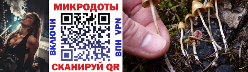 Купить где  Андреаполь  Галлюциногенные грибы ЛСД 